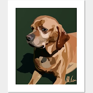 Taia the Pointer Posters and Art